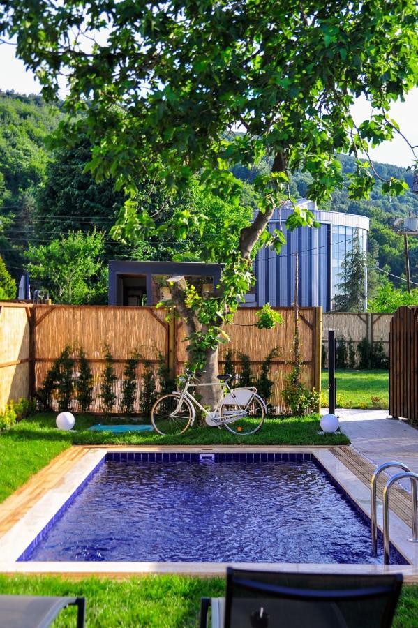 Minimalist Sapanca Villa Exterior photo